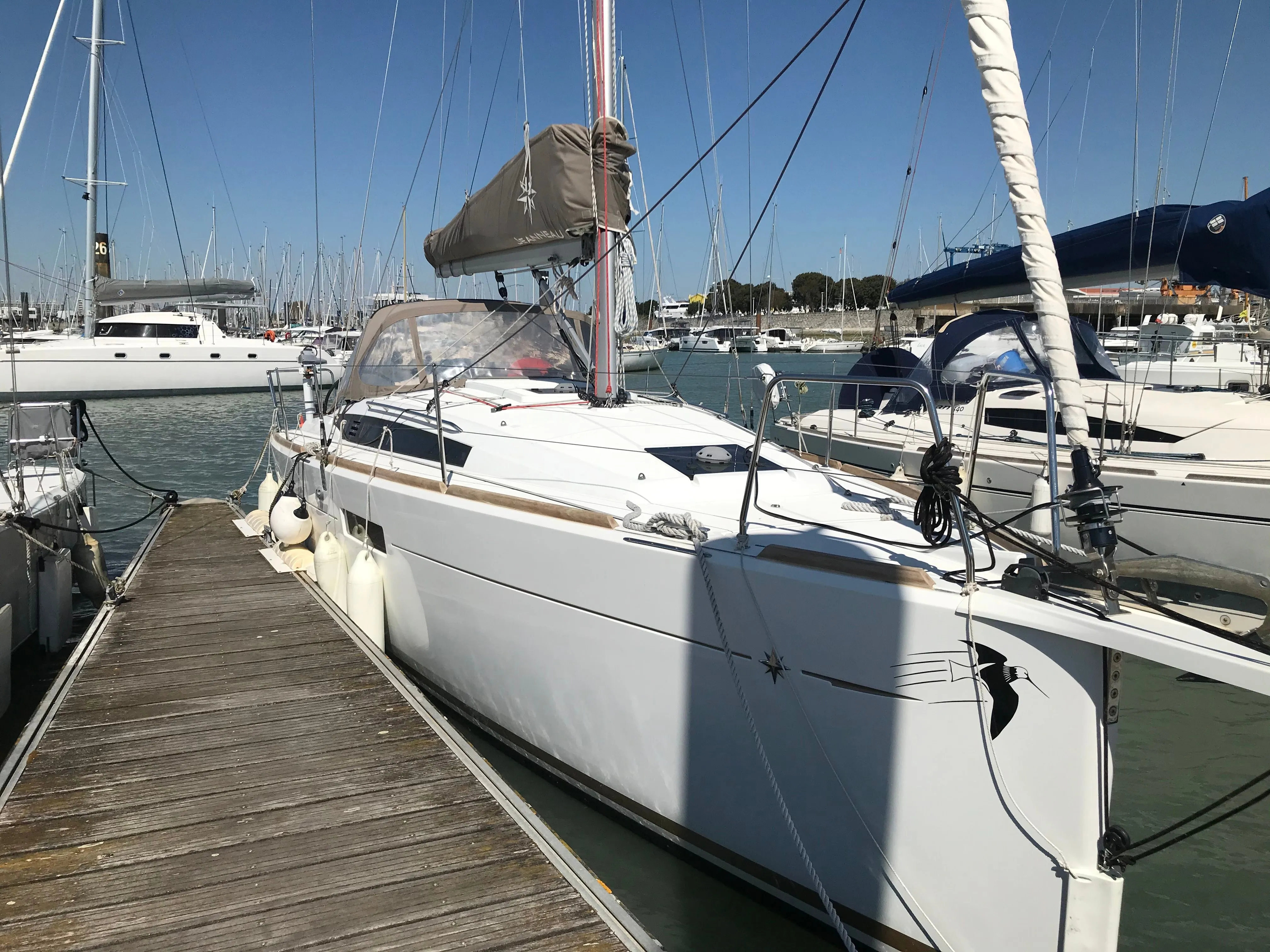 Tringa Charter Boat - 1
