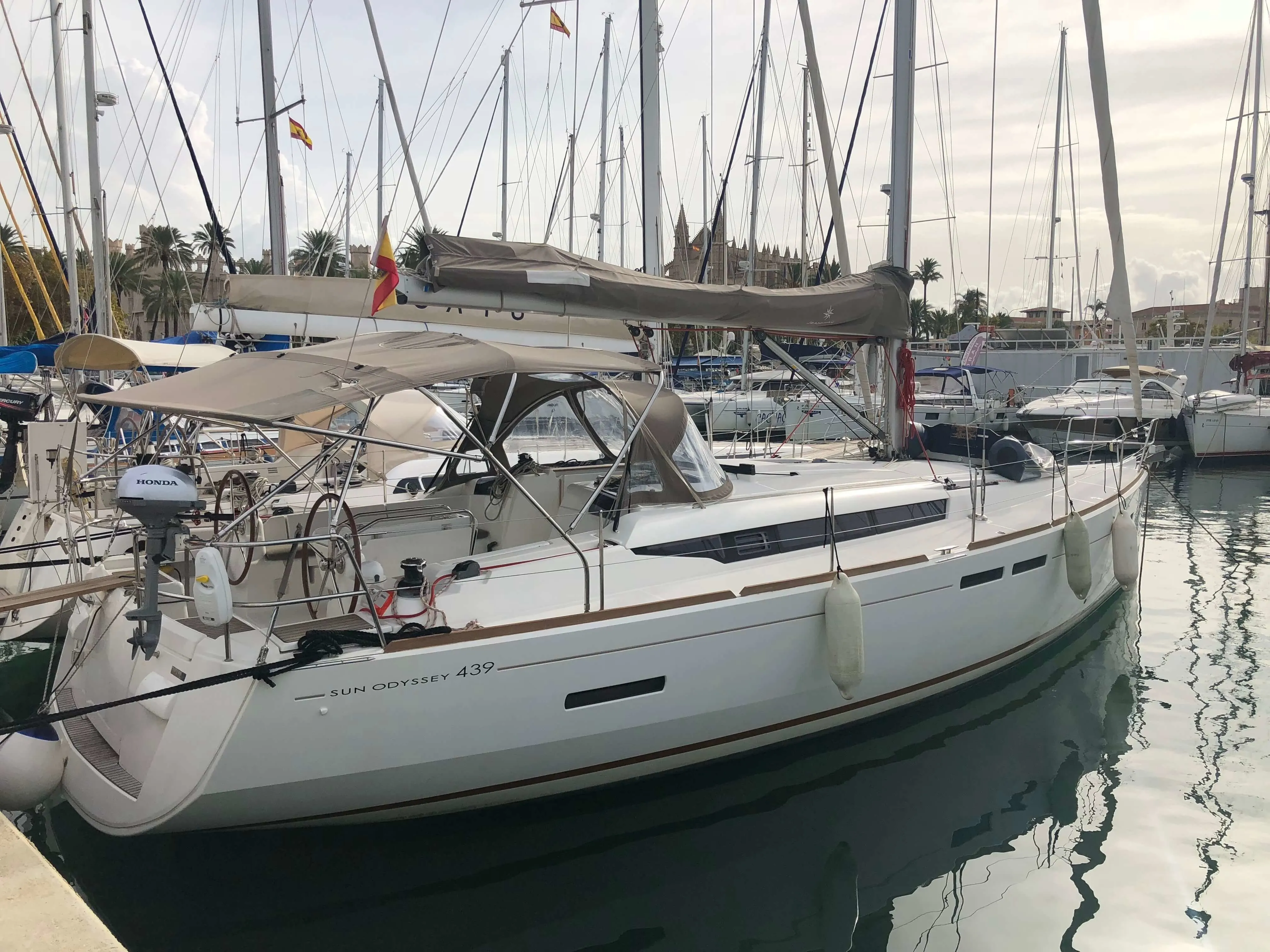 Чартер Gael - 4