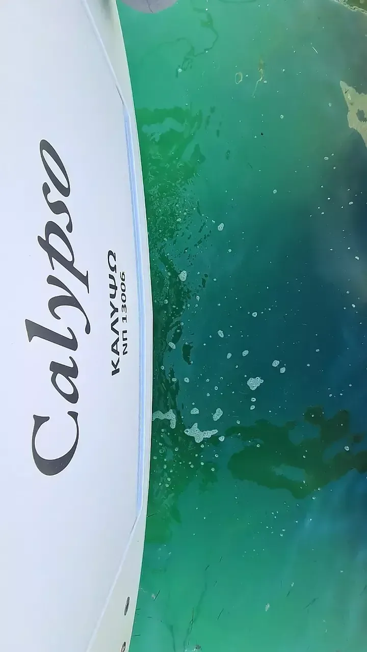 Calypso Charterboot - 4