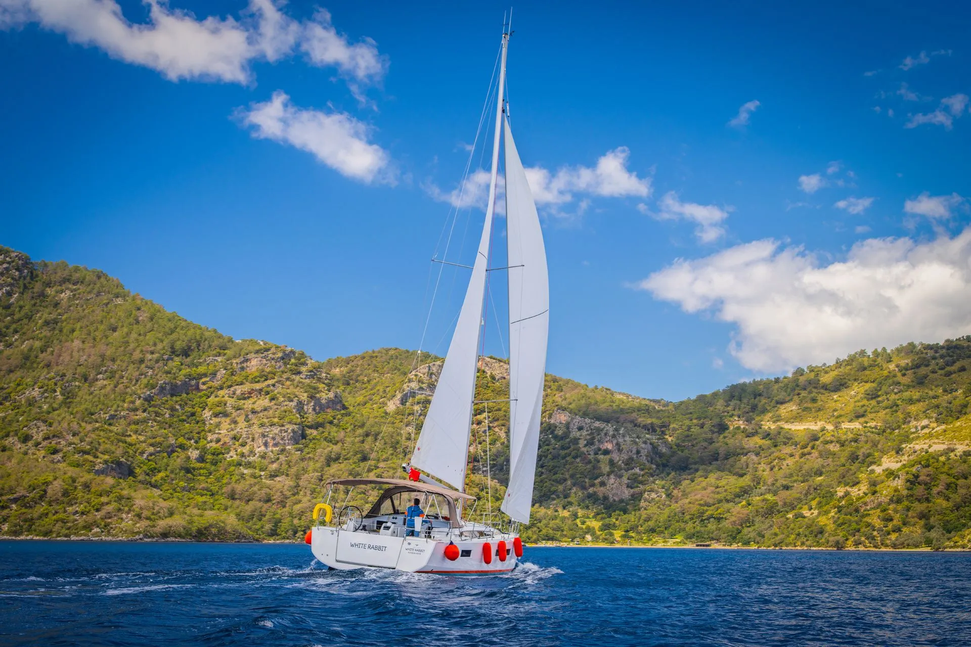 White Rabbit Charterboot - 3