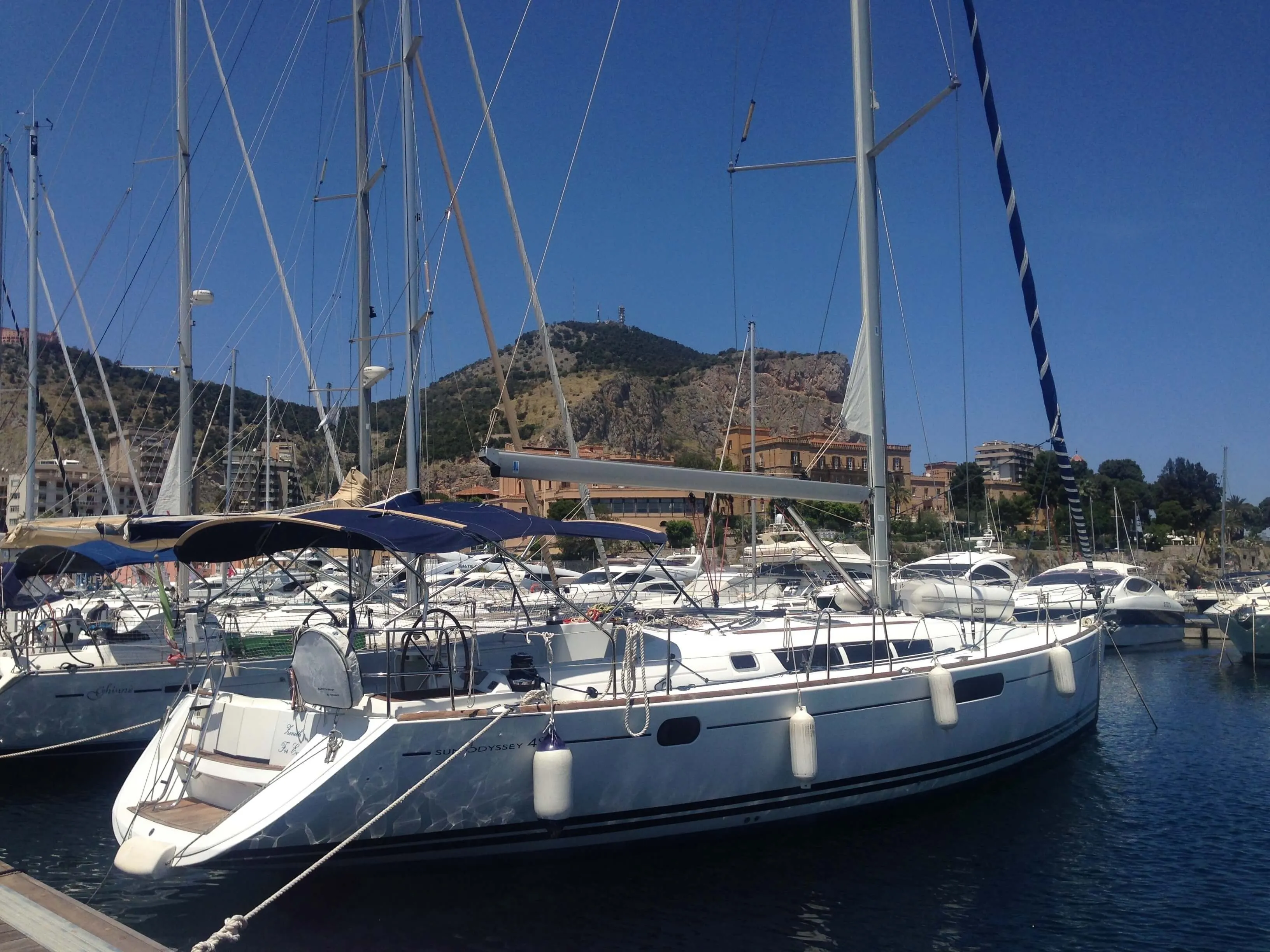 Zenith Forever Charter Boat