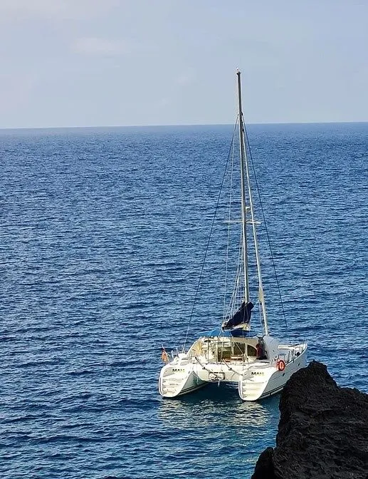 Mahi Mahi Charter Boat