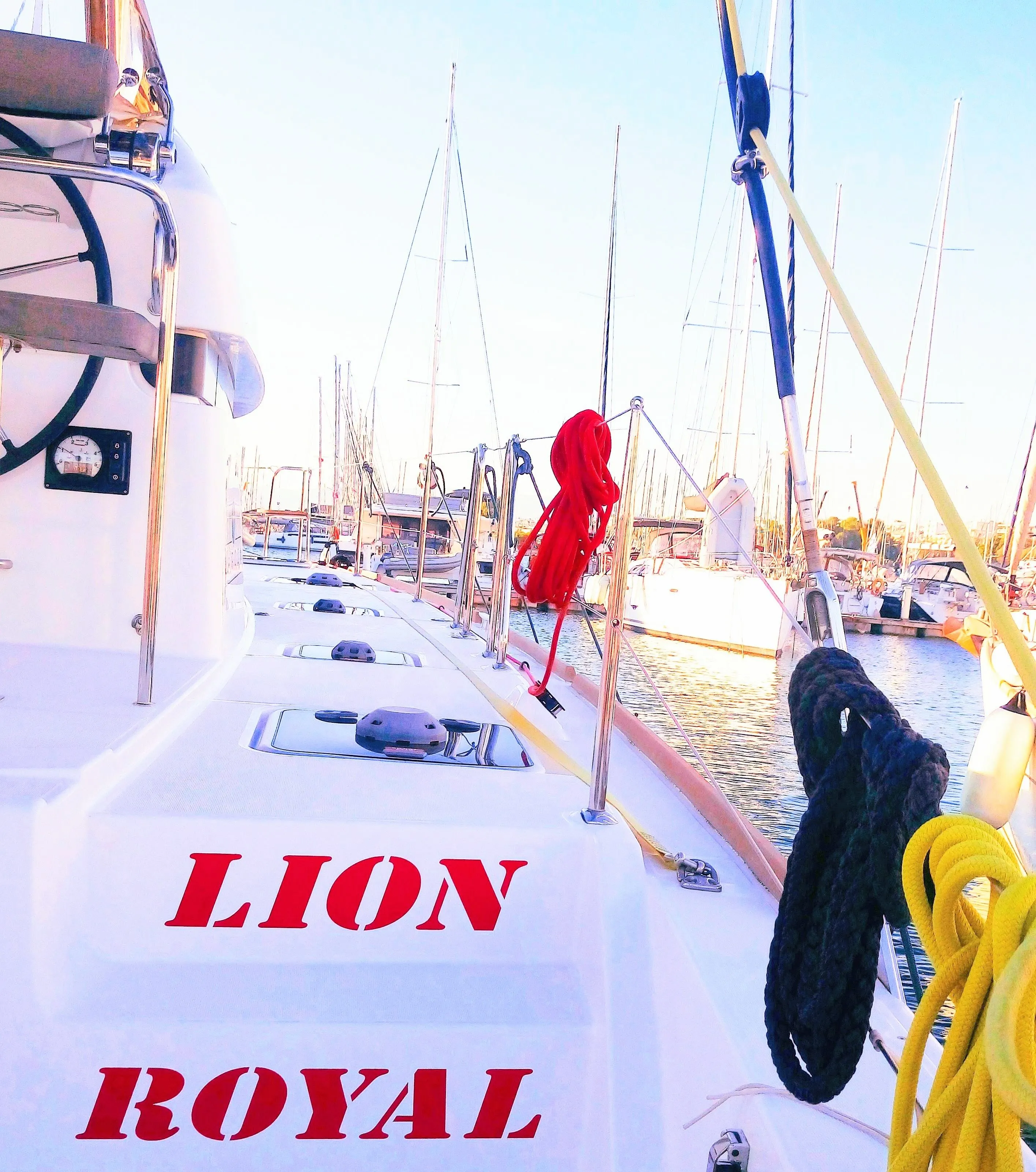 Lion Royal Mietboot - 5