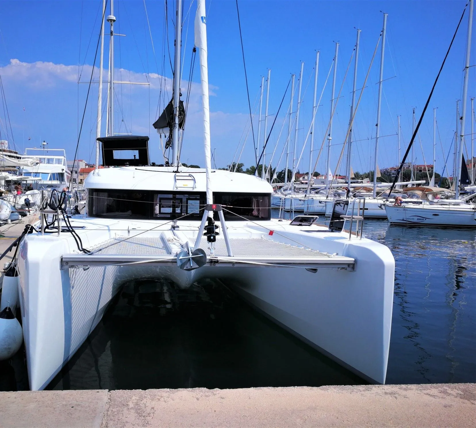 Wild Cat Charterboot - 3