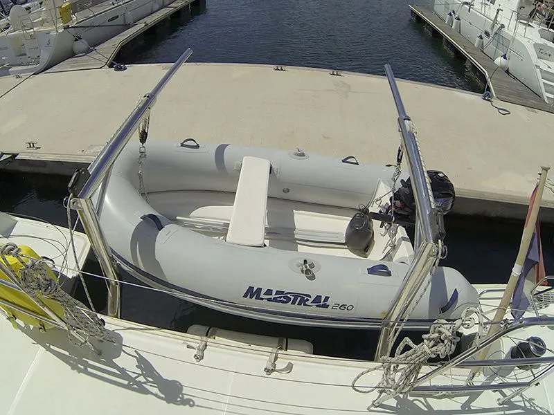 Stray cat Charter Boat