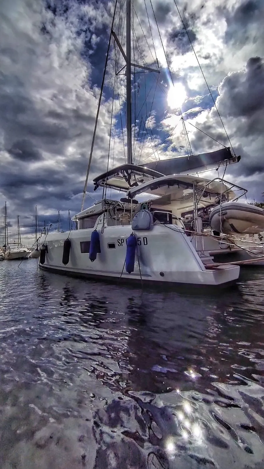 Sea Wolf Charterboot - 3