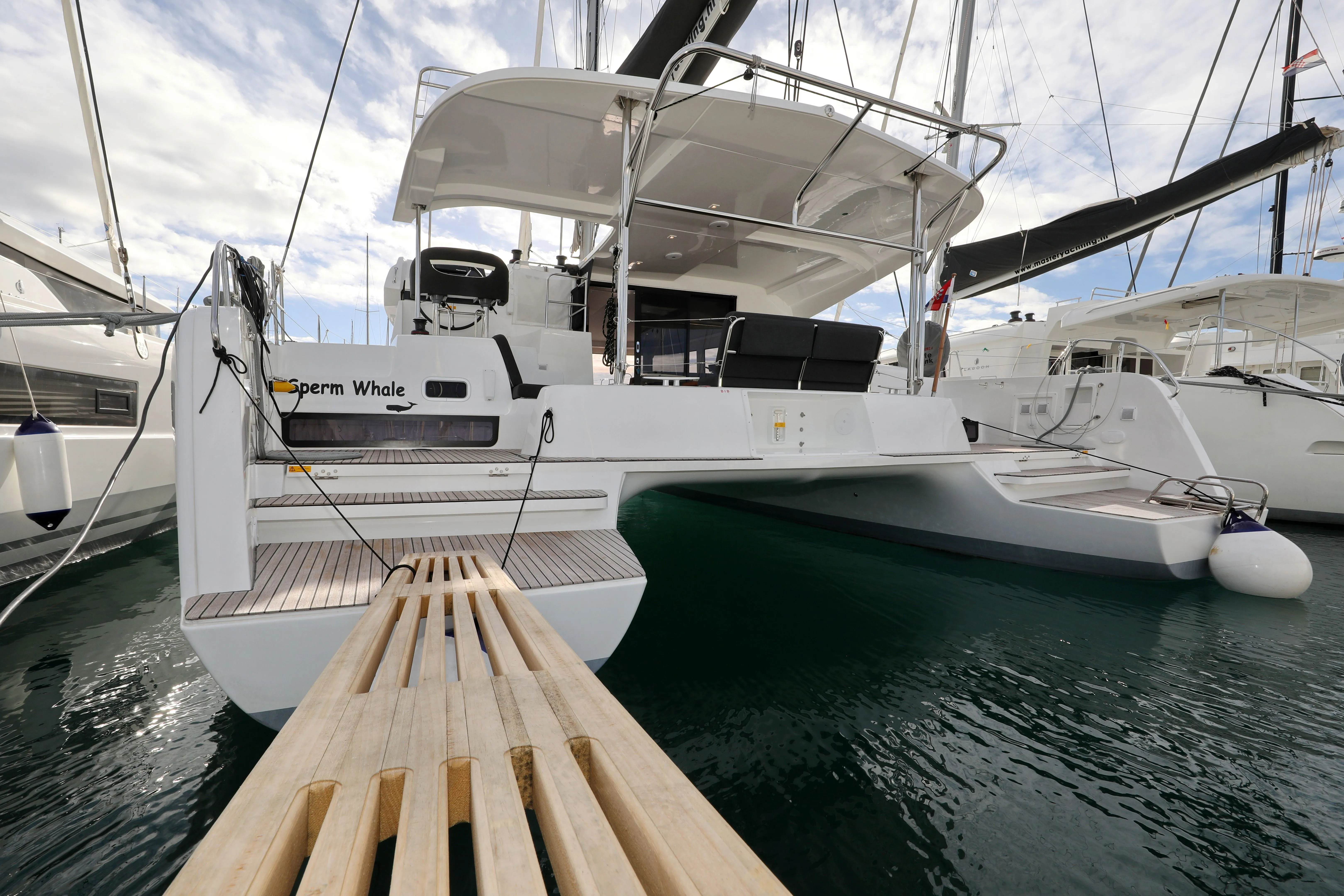 Sperm Whale Charterboot - 3