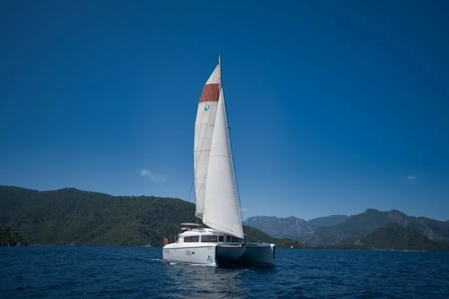 Rain Dogs Charterboot - 3