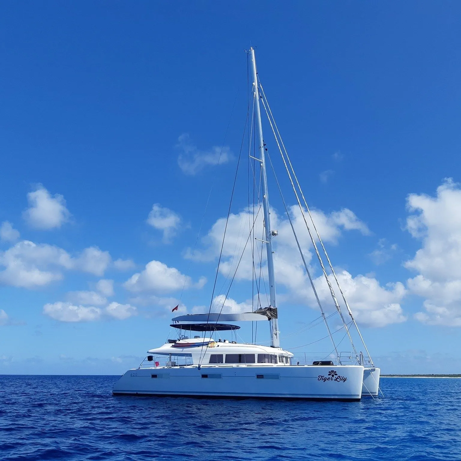 Tiger Lily Charter Boat - 3