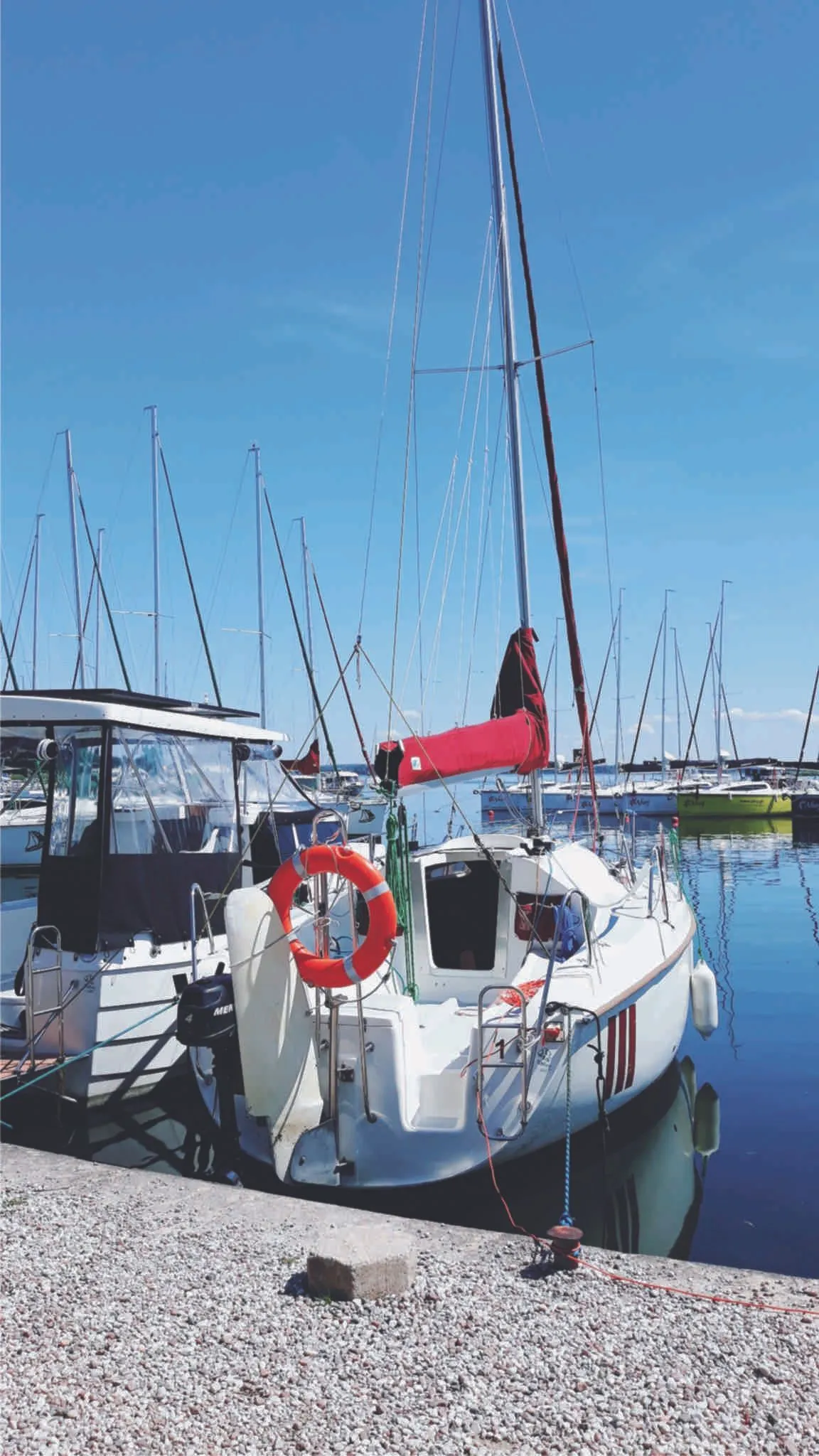 No Name Charter Boat - 3