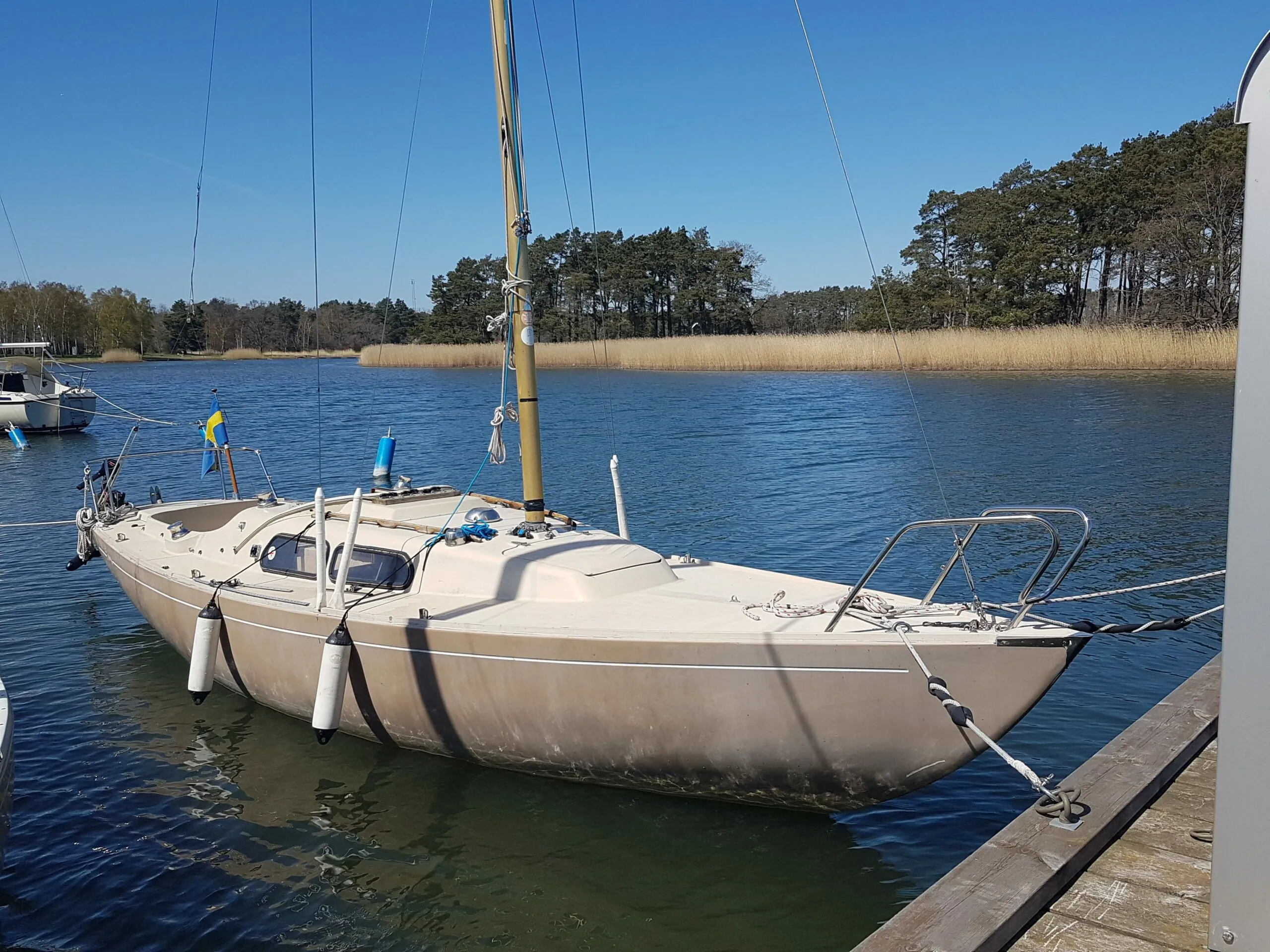 IF Charter Boat