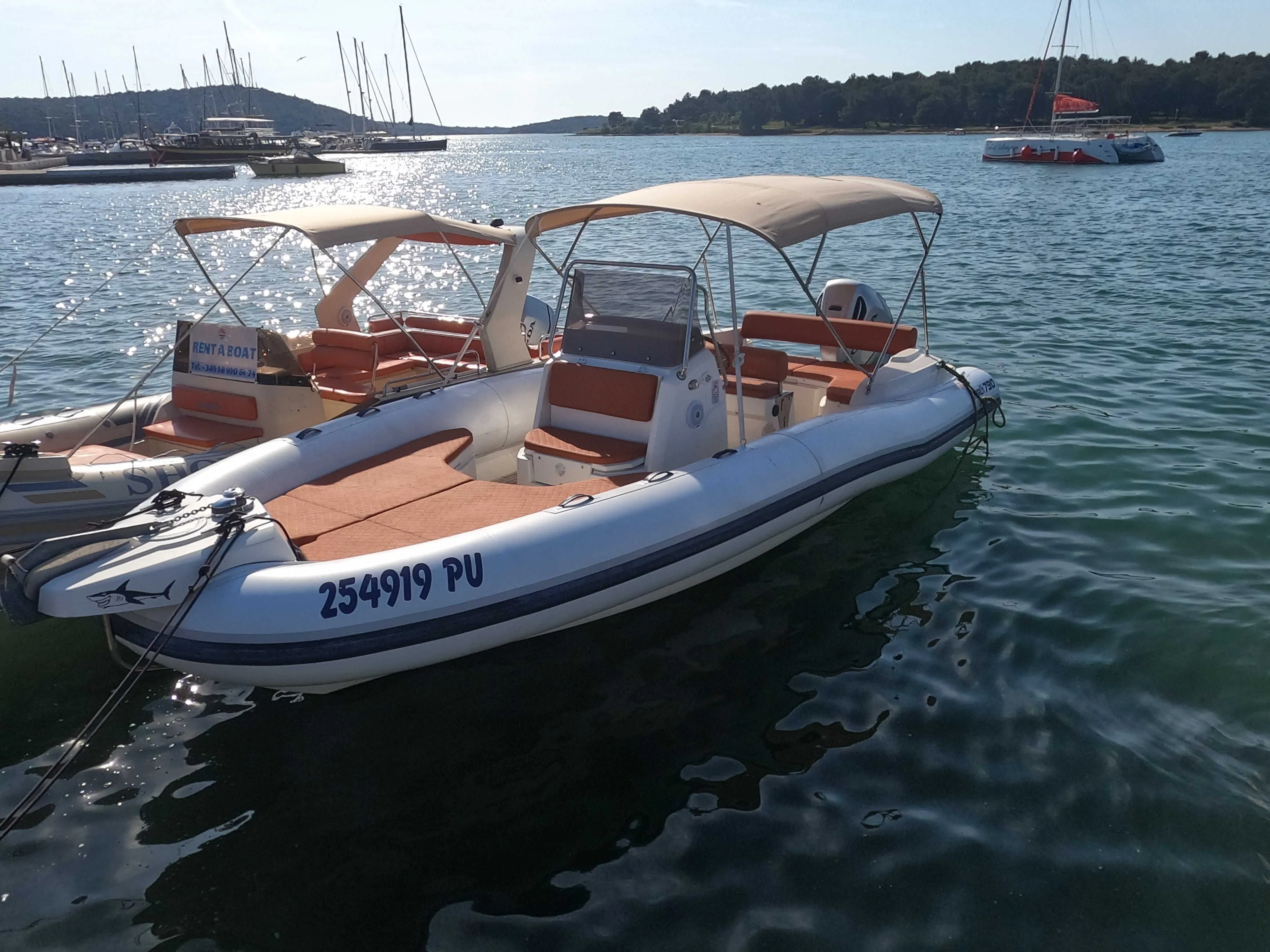 Dynamic Charter Boat