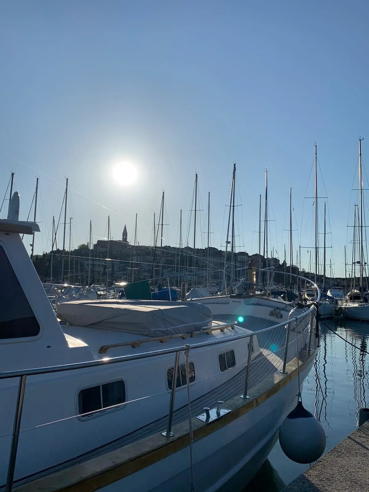 Gatto Randagio Charter Boat
