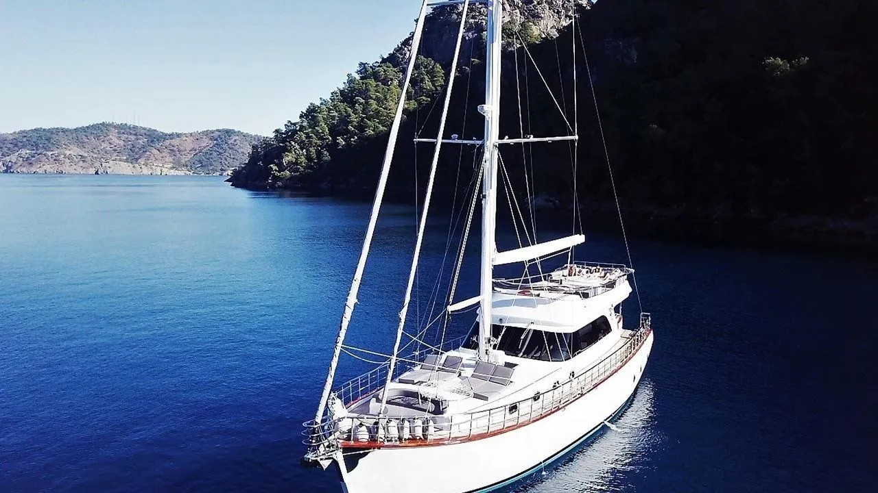 Чартер Perdue - 4