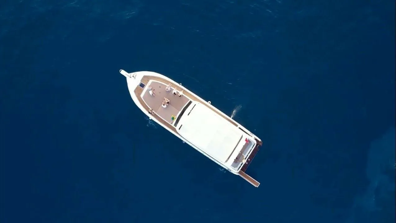 Queen VIP Charter Boat