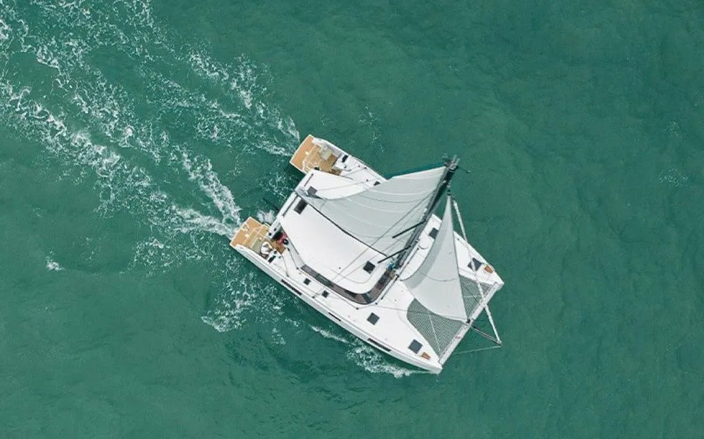 Чартер Negroni - 4