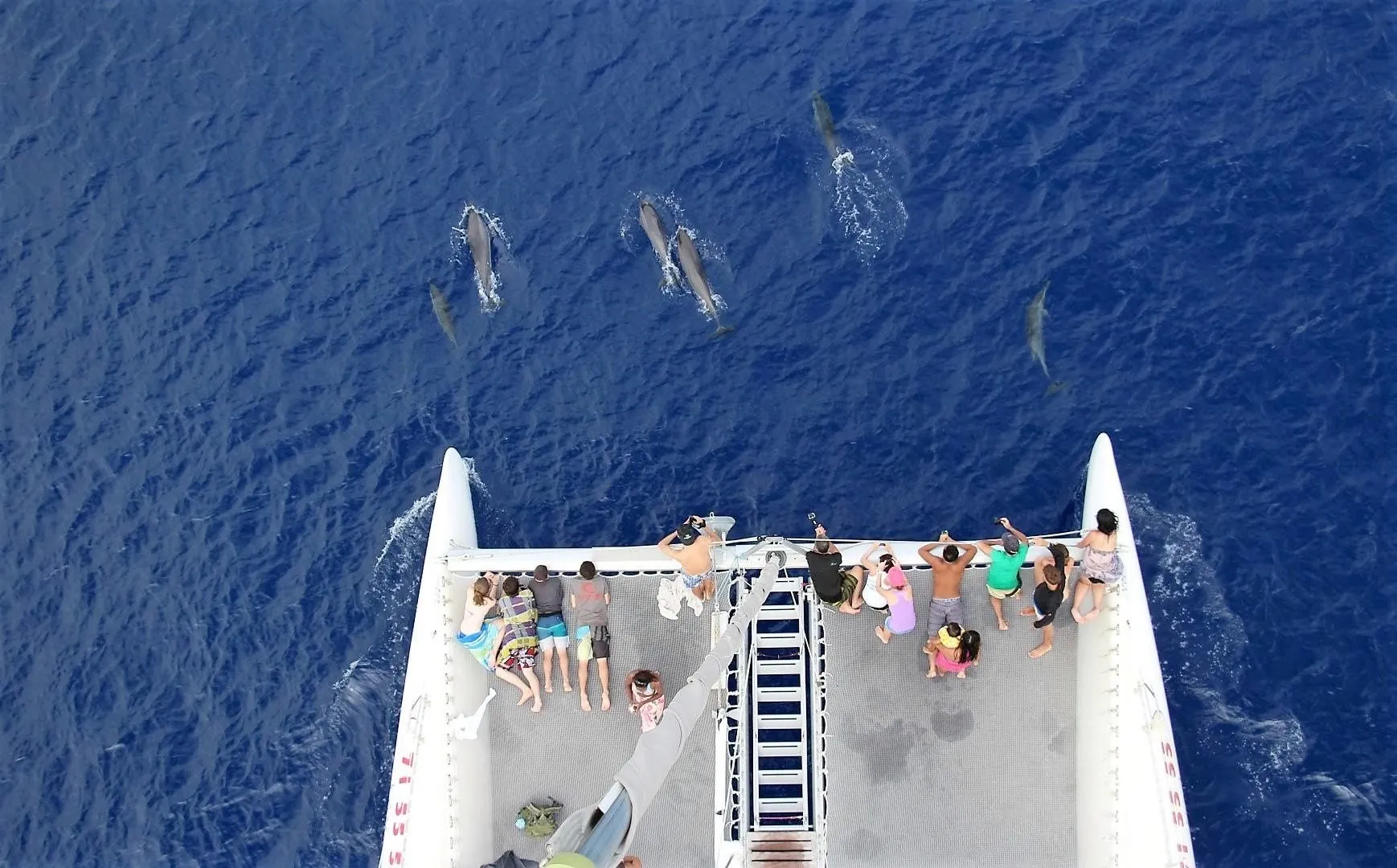 Explore Papeete on a 15.5m Rental Ocean Voyager 53