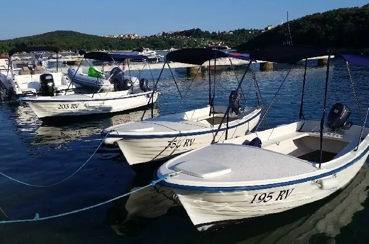 Charter a 4.5m Motor Boat Pasara 450 in Vrsar