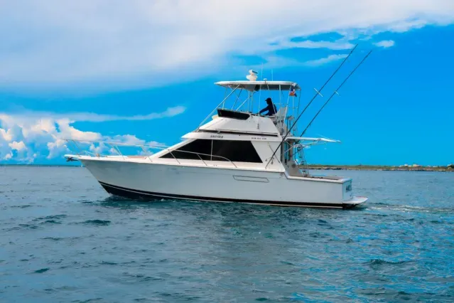 Mar Del Sur Charterboot - 4