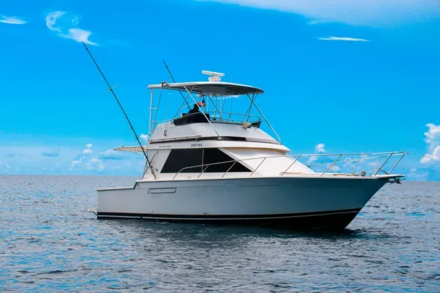 Mar Del Sur Charterboot - 5