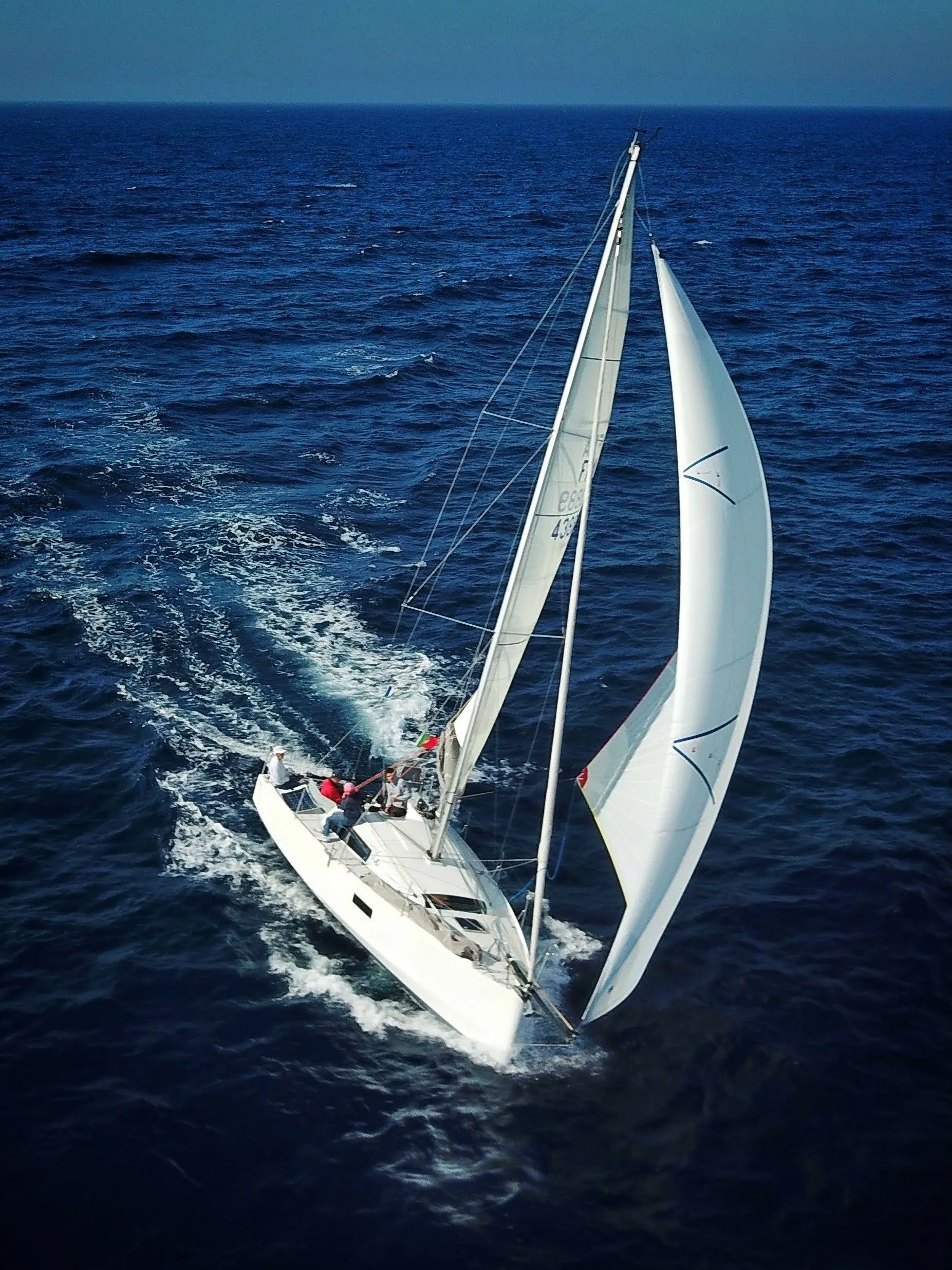 Чартер Bagheera - 3