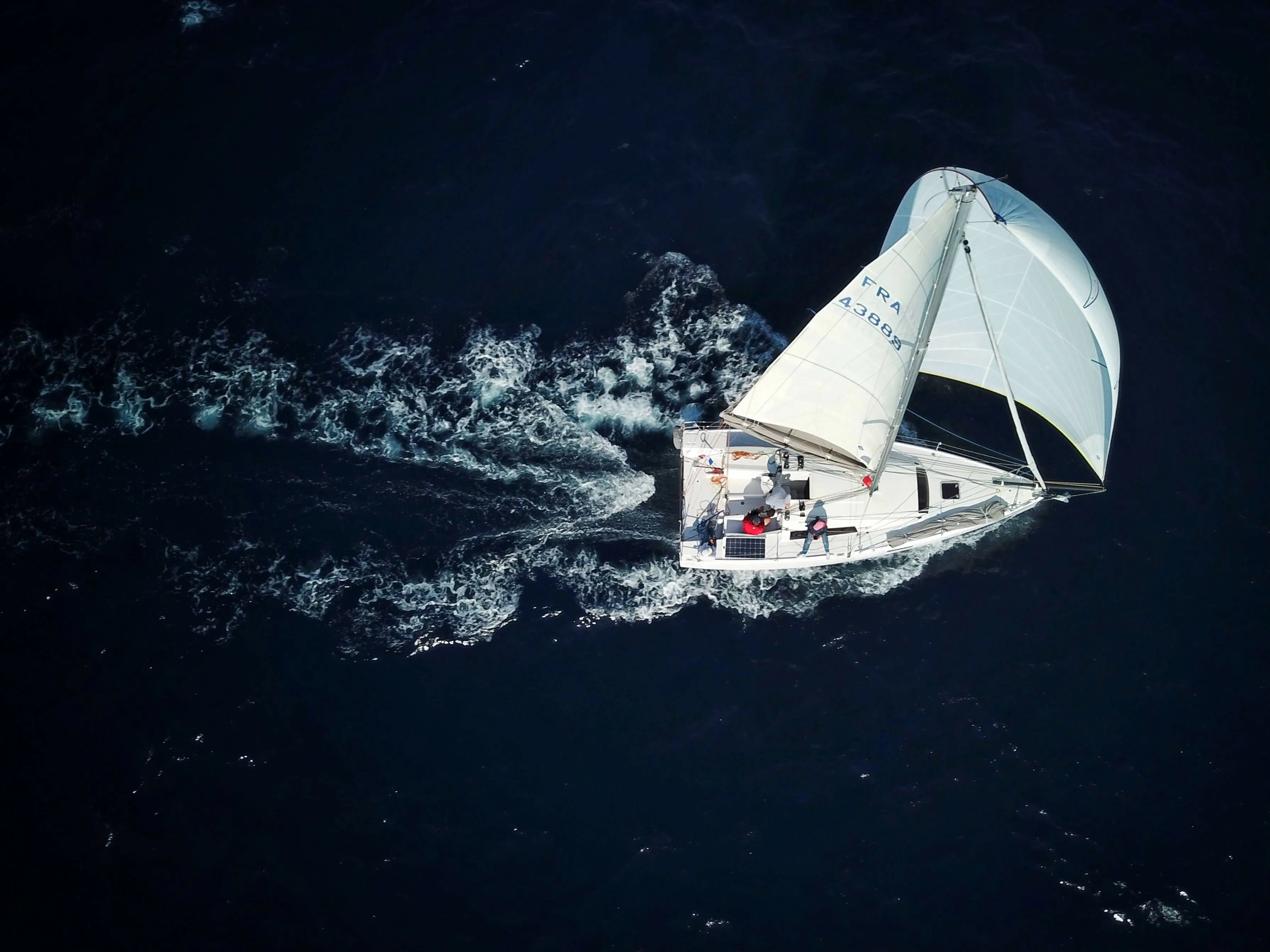 Чартер Bagheera - 4