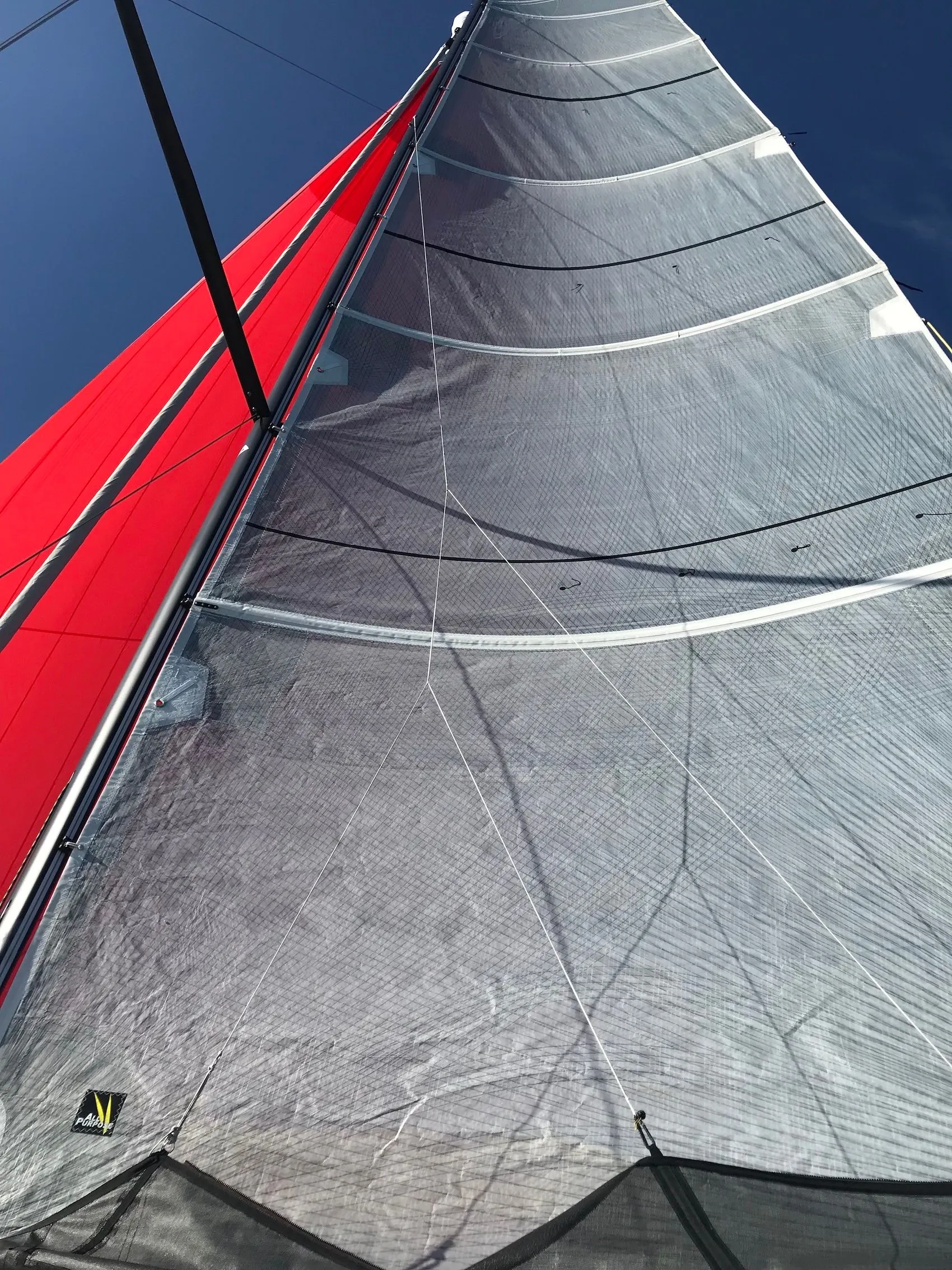 Spicy Charter Boat