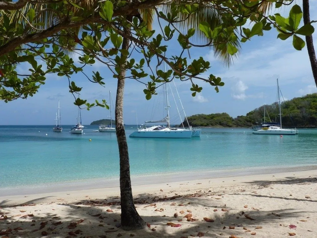 Sagittarius Charter Boat