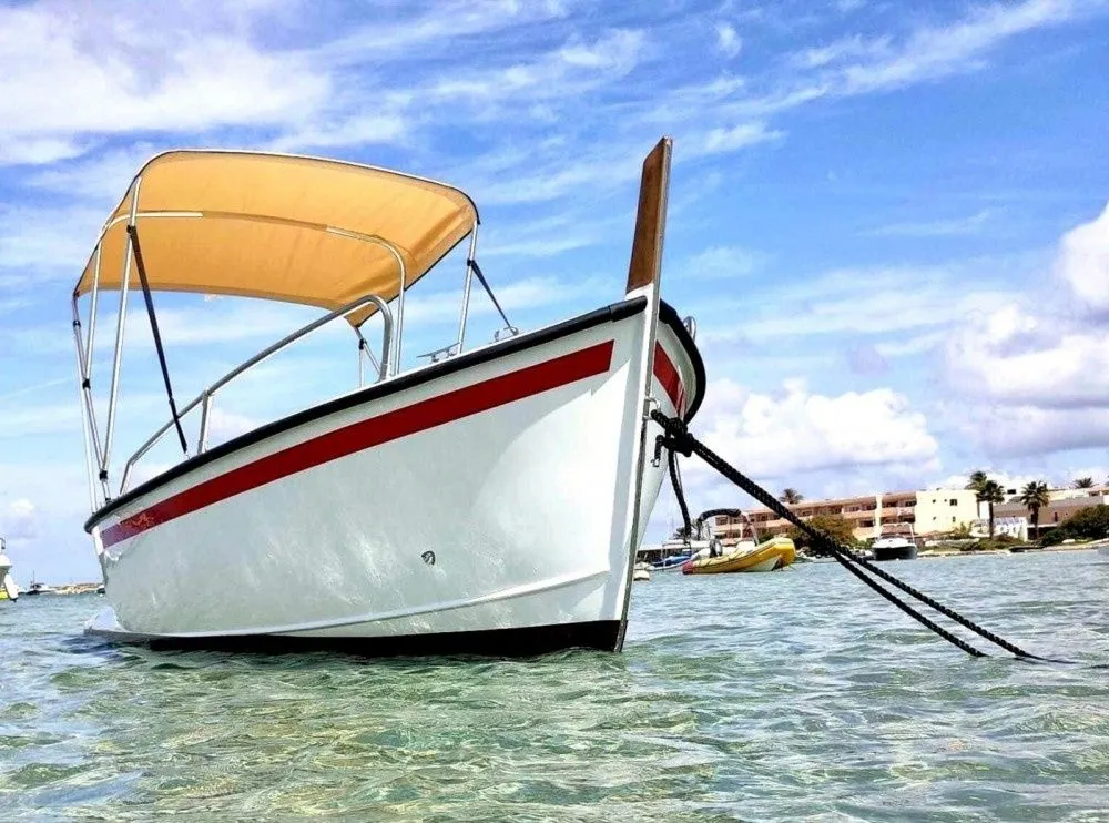 Charter a 4.85m P.R.Mare 5 terre Motor Boat in La Savina