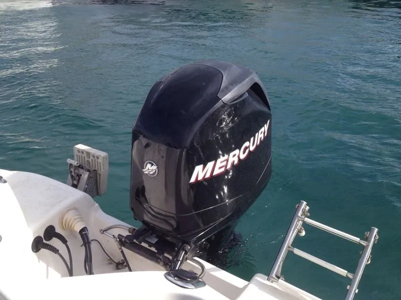 Activ Charter Boat