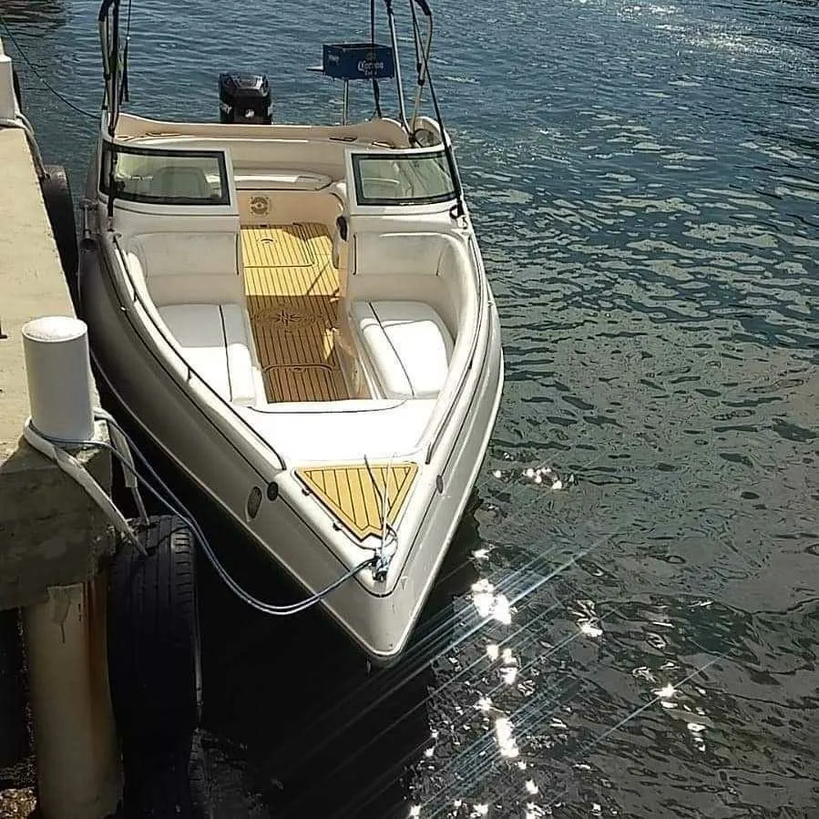 Seaholic 20 Charter Boat