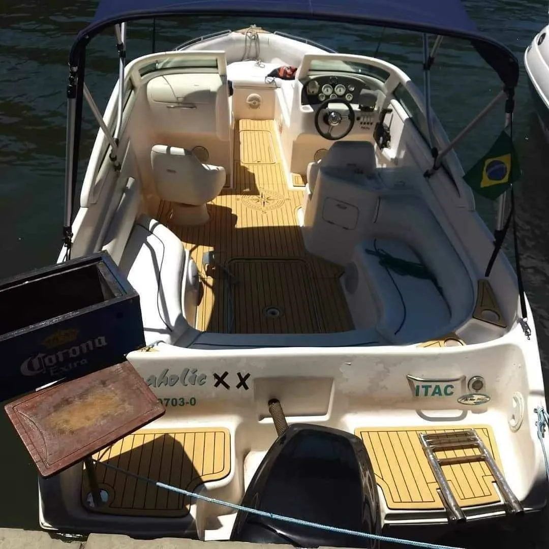 Seaholic 20 Charter Boat