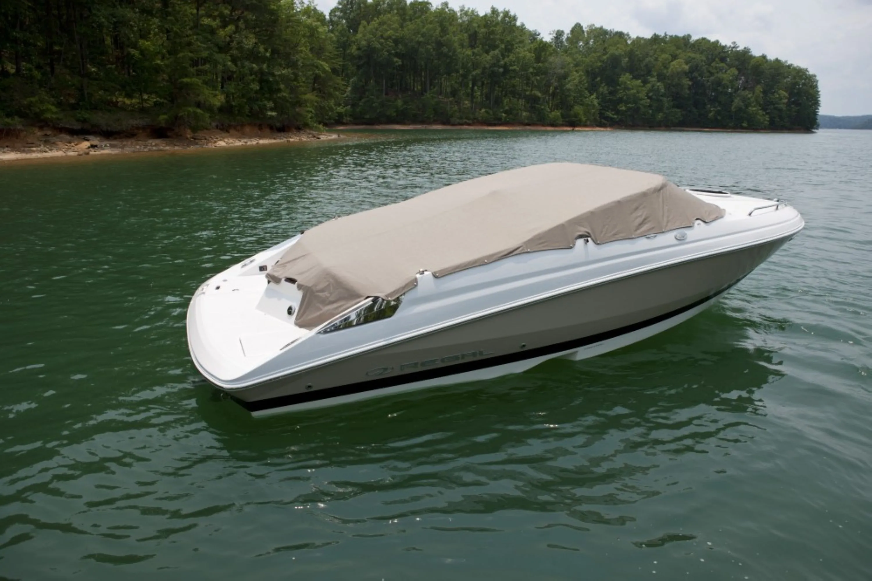 Regal Charter Boat