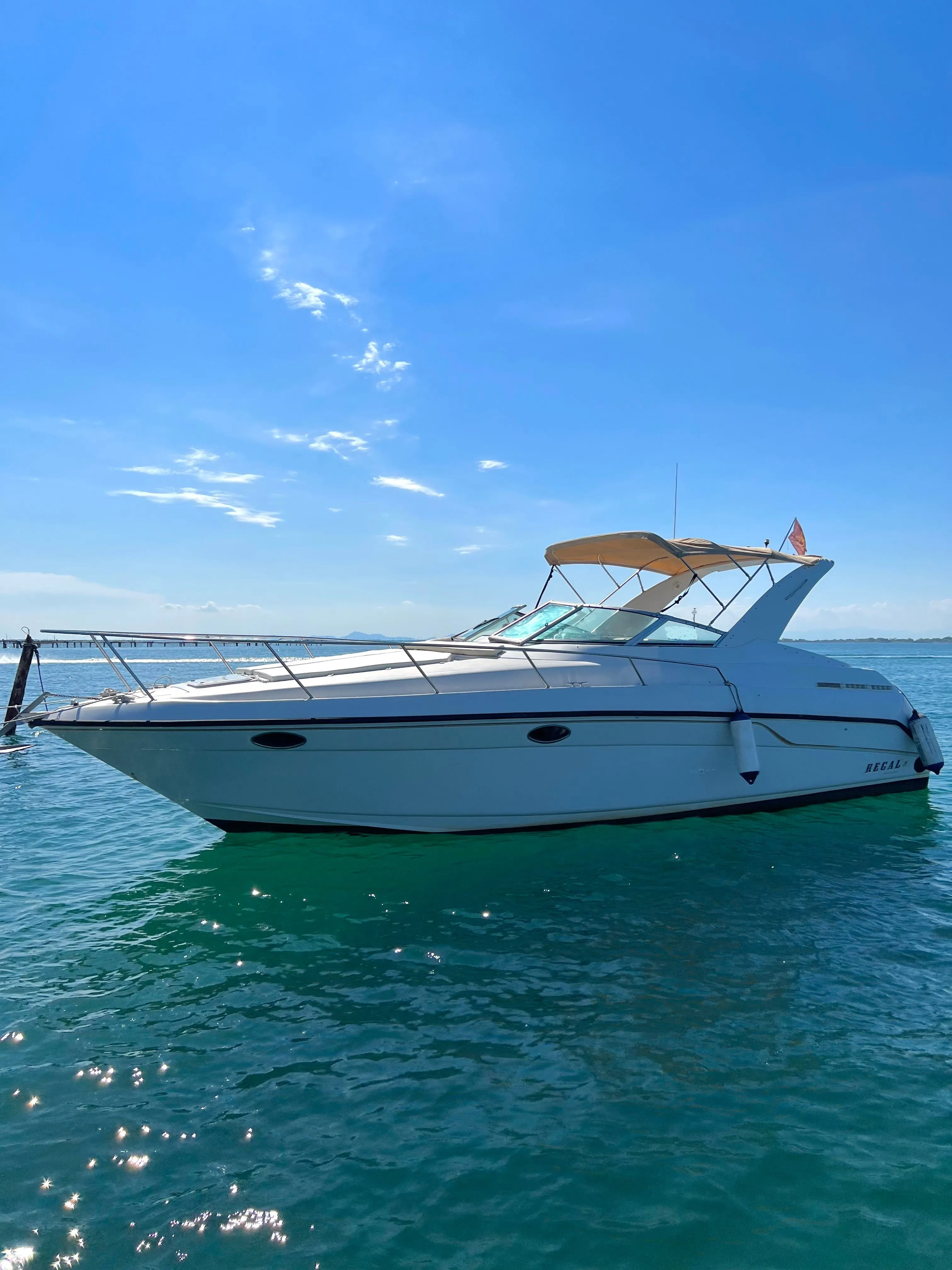 Regal Ventura Charter Boat