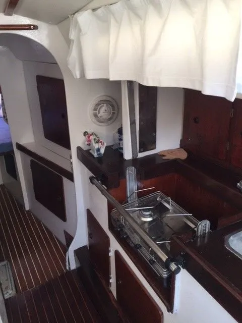 White Magic Charterboot - 4