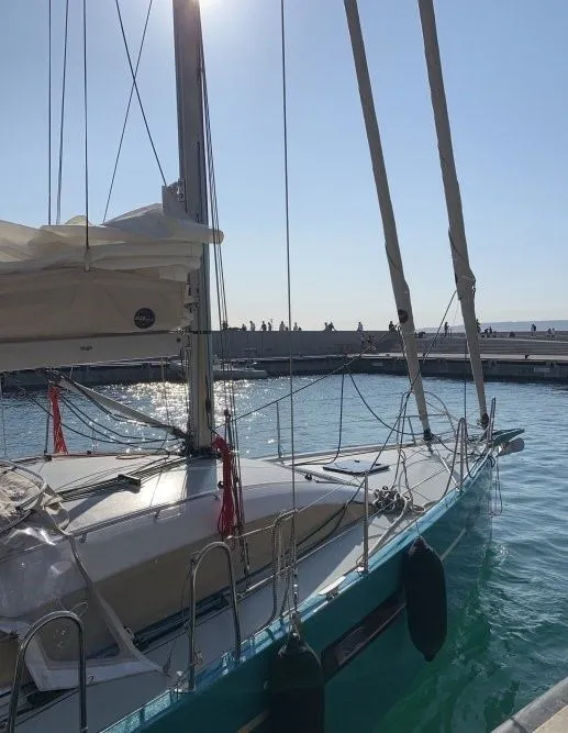 Чартер Ty Punch - 5