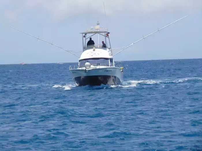 Blue Marlin 3 Charter Boat