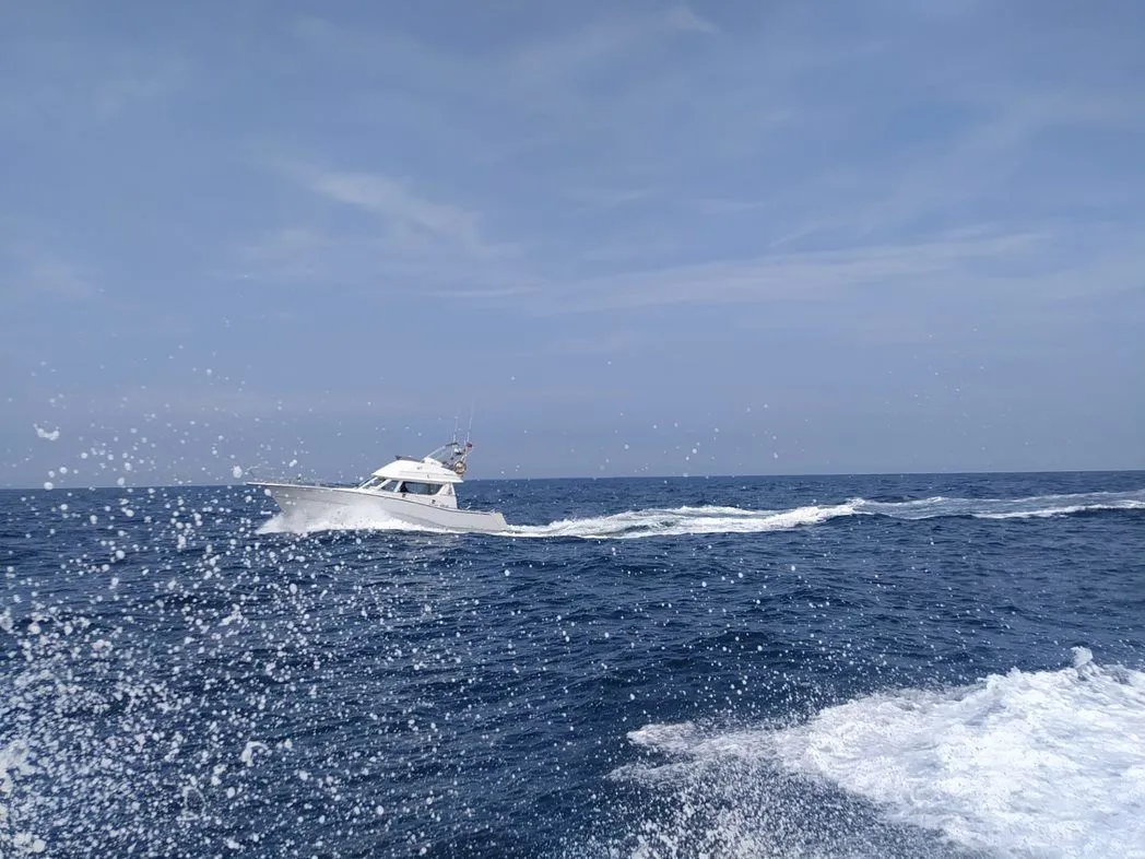 Explore Porto on a 14m Rental Motor Yacht