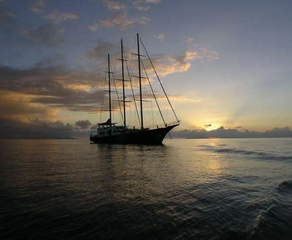 Sea Star Charterboot - 4