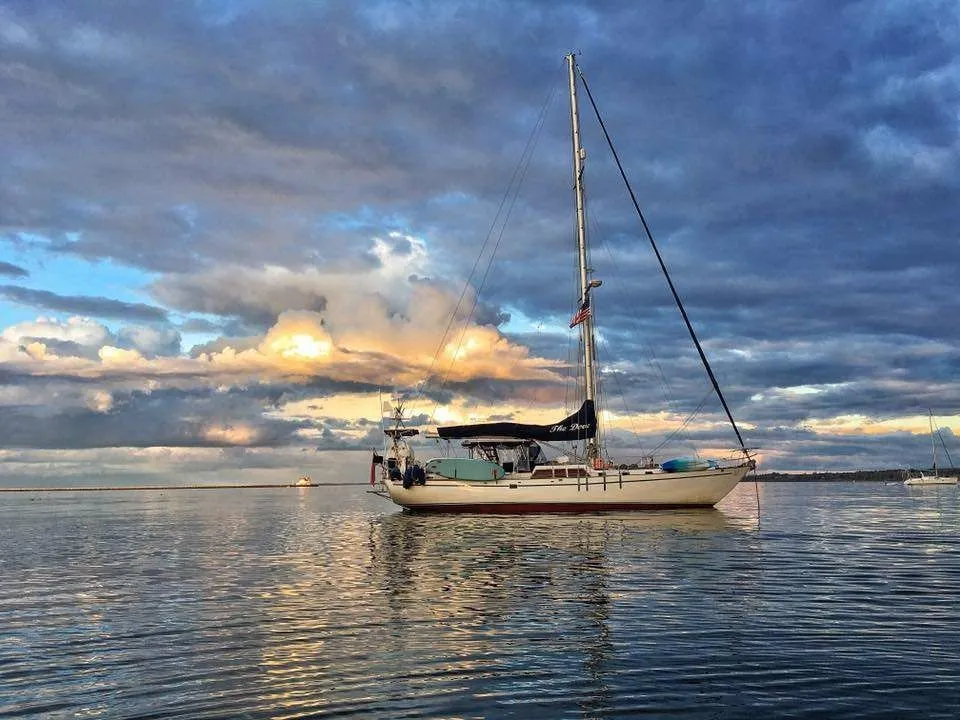 The Dove Charter Boat
