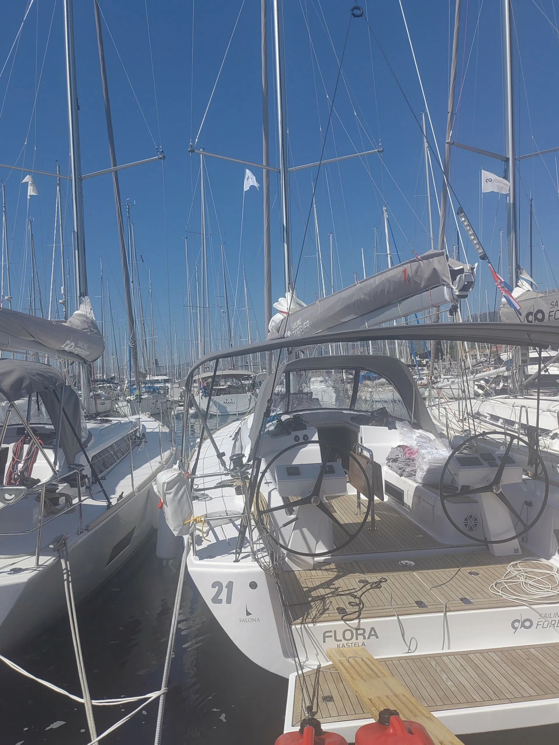 Чартер Flora - 3