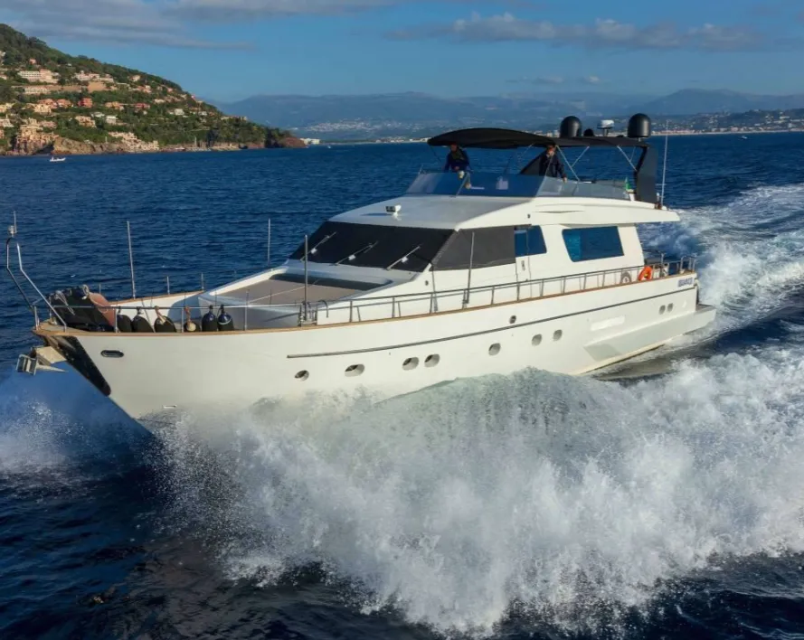 All We Need Charter Boat