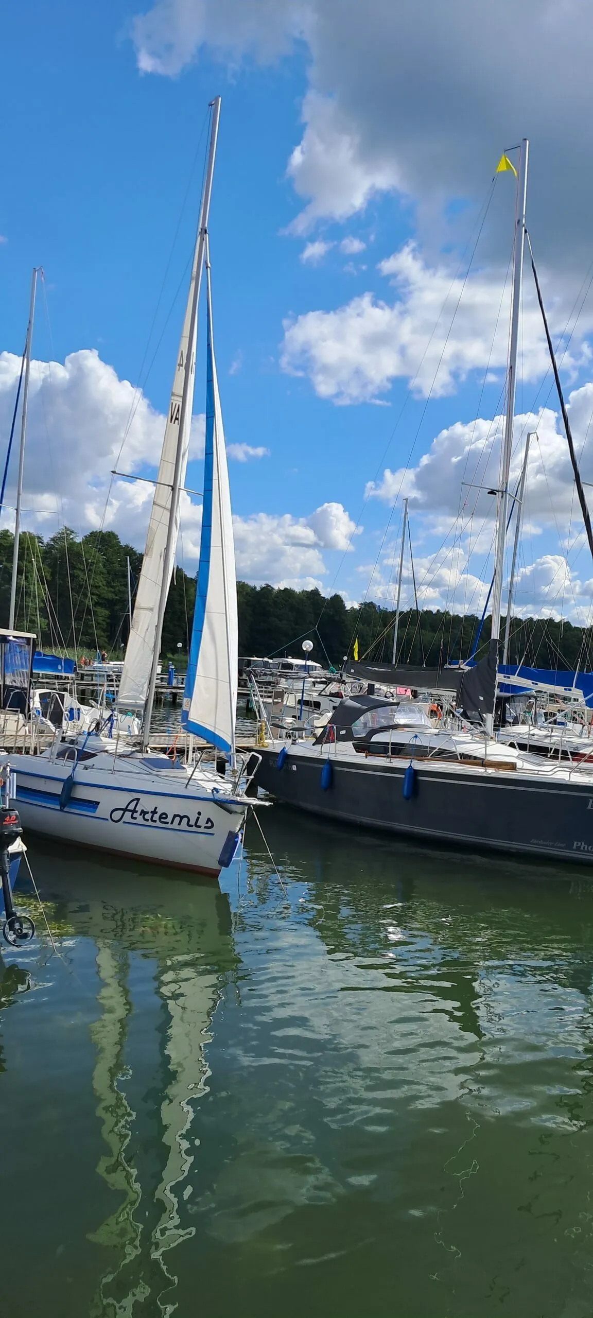 Artemis Charter Boat - 3