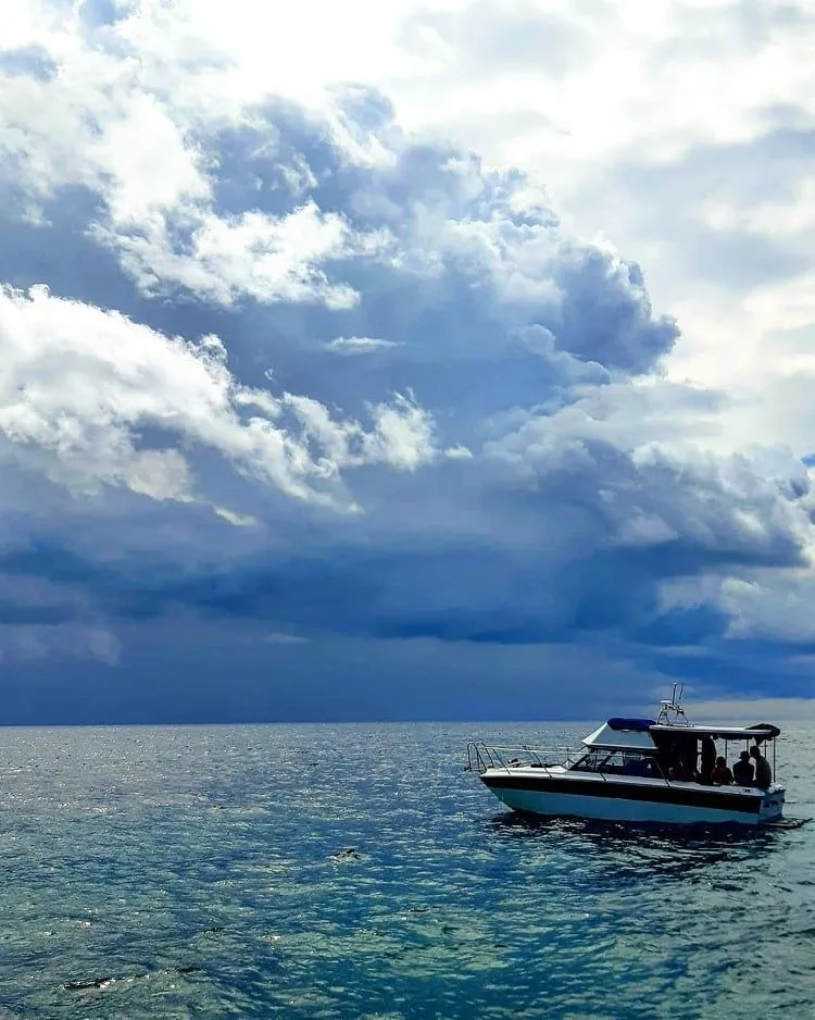 Чартер No Name - 4