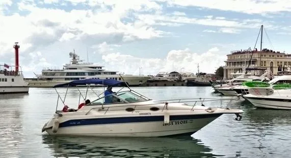 Tekne - Sochi Kiralık Sea Ray 270 8.5m 