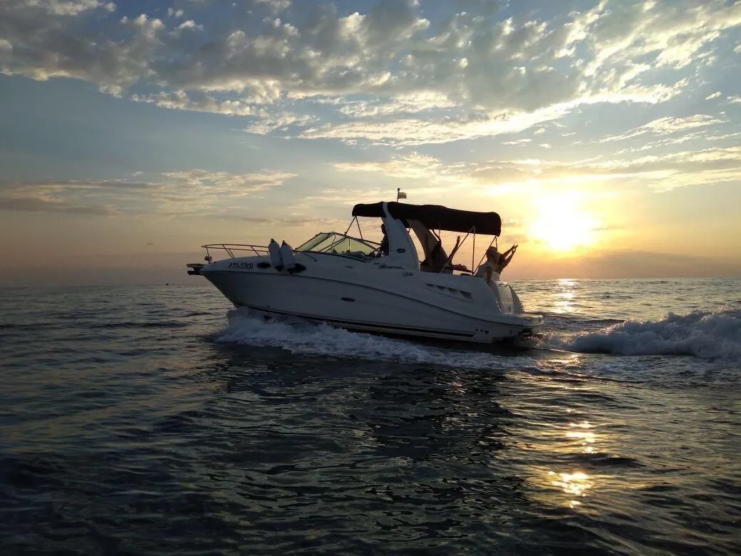 Rent a 9.47m Sea Ray 315 Sundancer in Adler