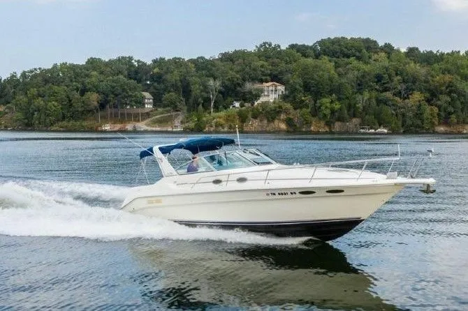 10m Marbella Sea Ray 330 Hire