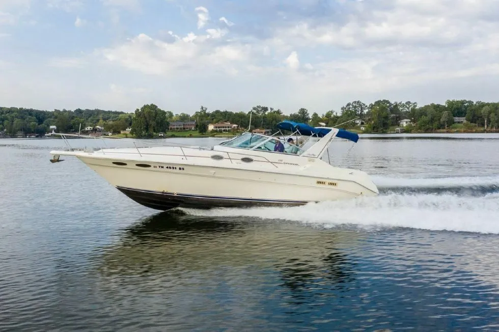 10m Marbella Sea Ray 330 Hire