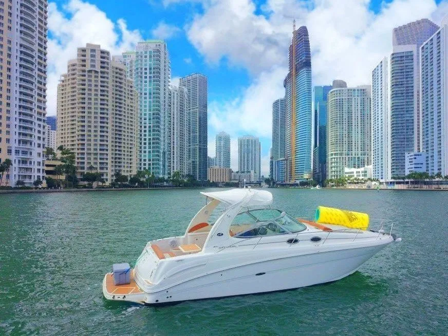 Paradise 1 Charter Boat