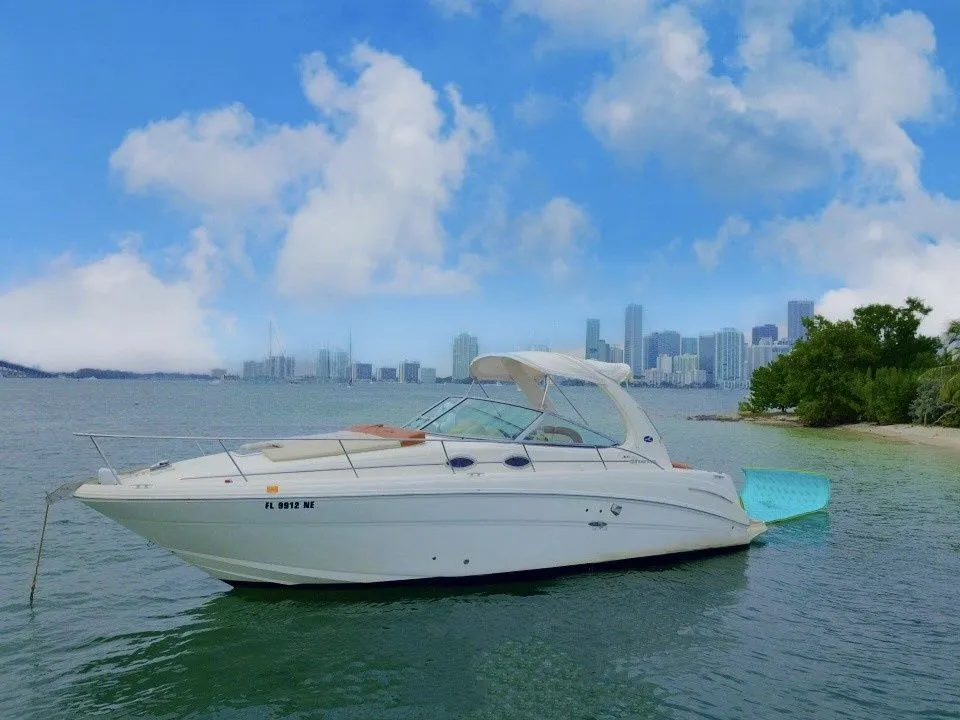 Paradise 1 Charter Boat